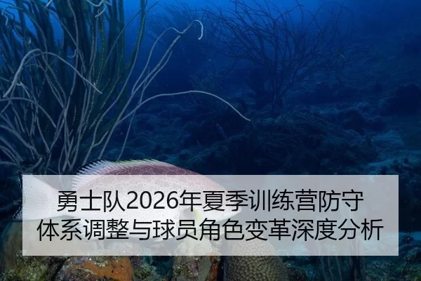 勇士队2026年夏季训练营防守体系调整与球员角色变革深度分析
